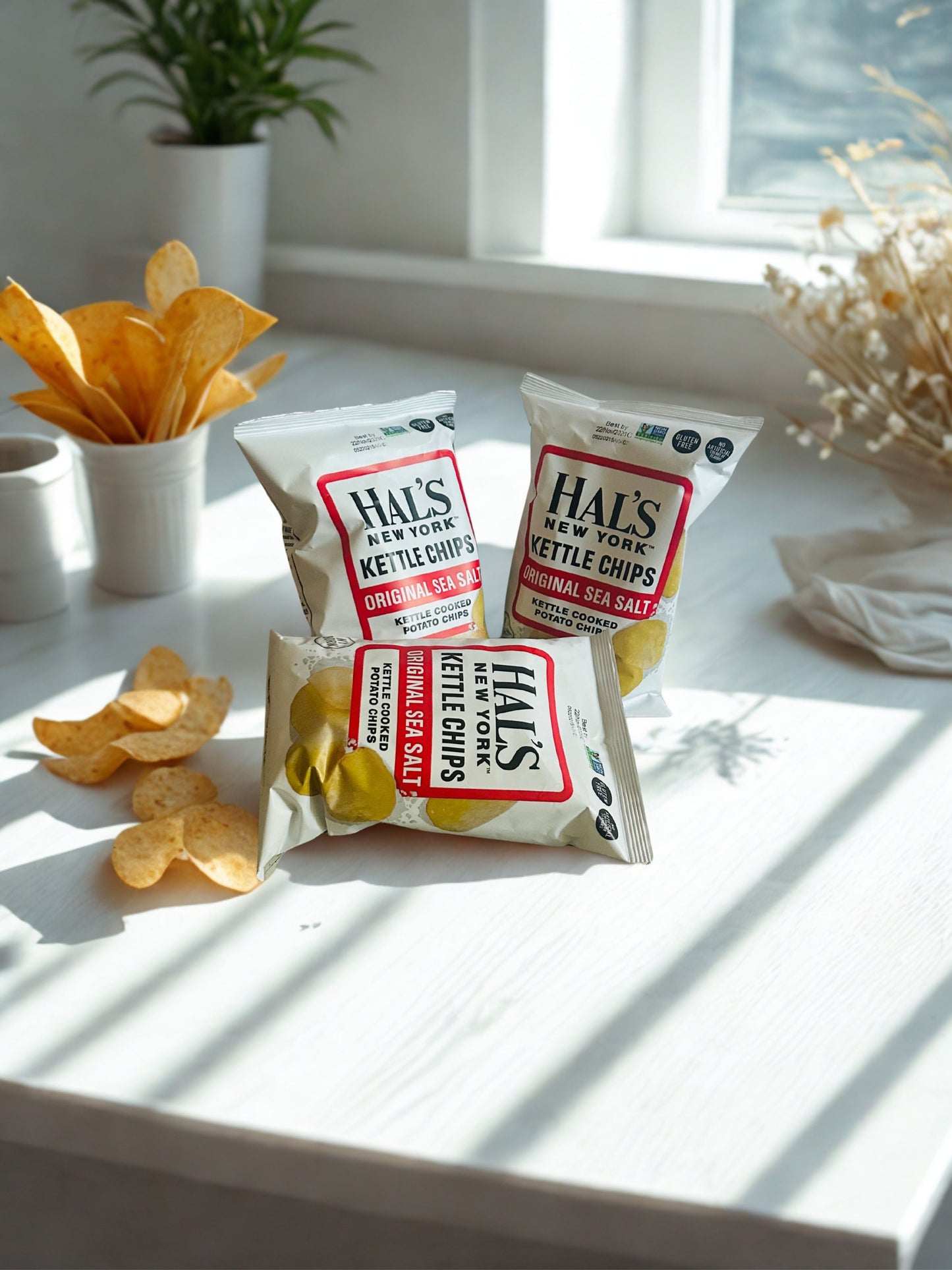 Hal's New York Kettle Chips 2oz Original Sea Salt Box – 24 Count